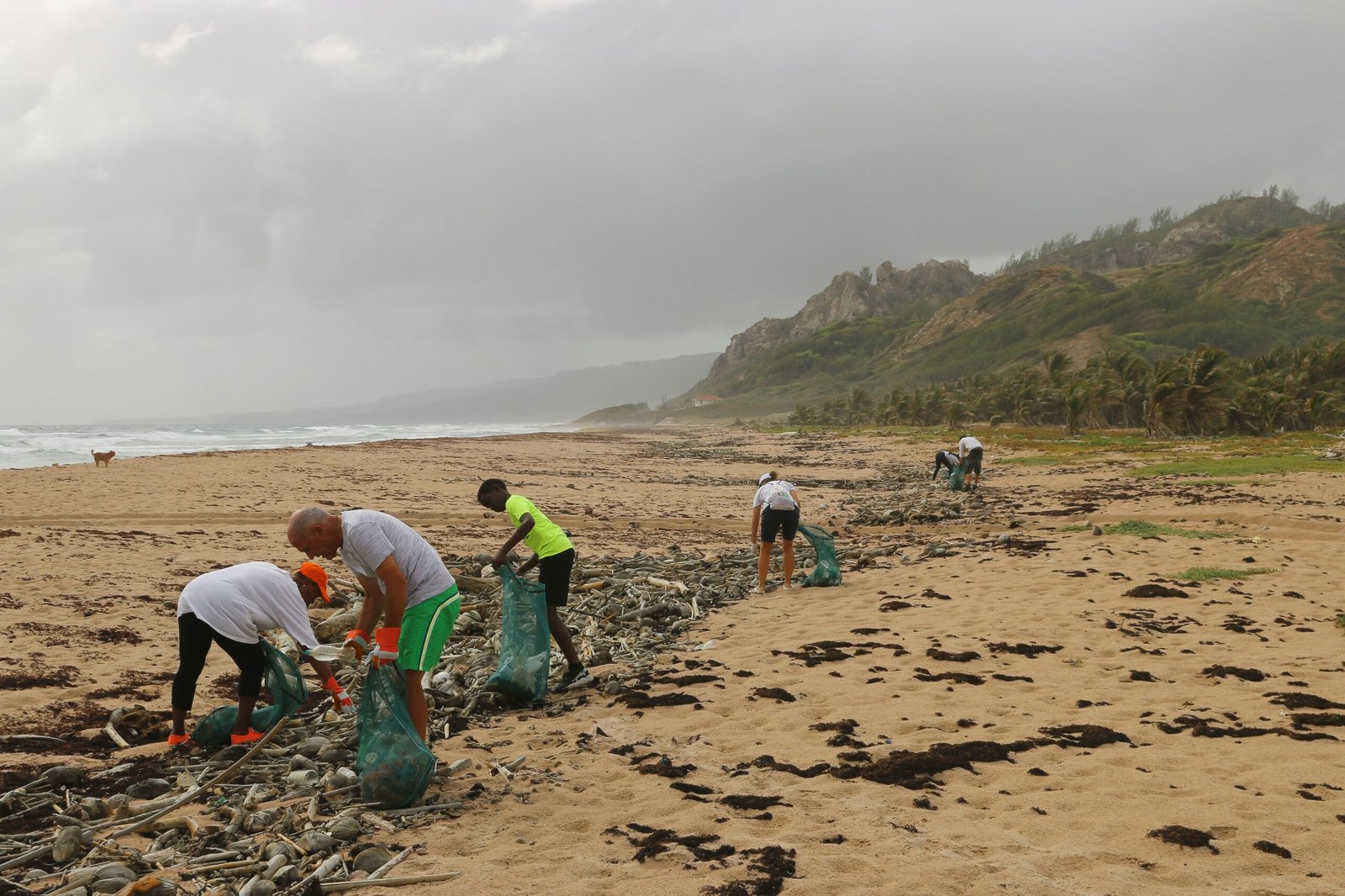 The Role of Volunteer Work in Career Development